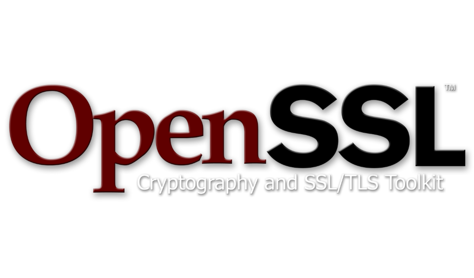 Latest OpenSSL version is affected by a remote memory corruption flaw